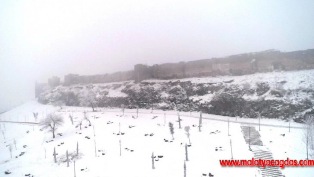 Diyarbakır'da kar esareti sürüyor