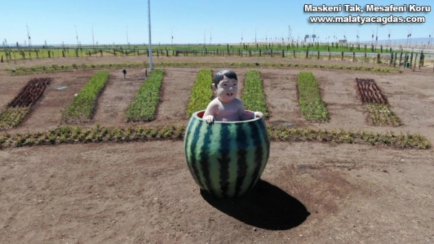 Diyarbakır'da kavşaklara bırakılan maketler tartışmaları da beraberinde getirdi