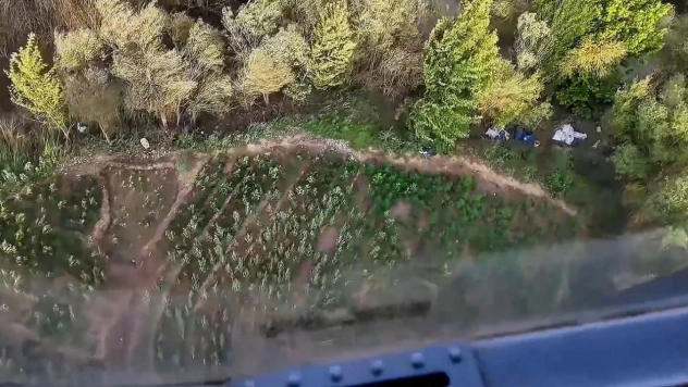 Diyarbakır'da Kenevir ve Skunk Ele Geçirildi