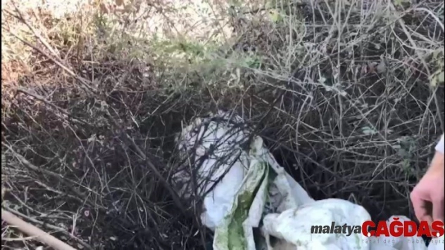 Diyarbakır'da Kıran-11 Operasyonu başlatıldı