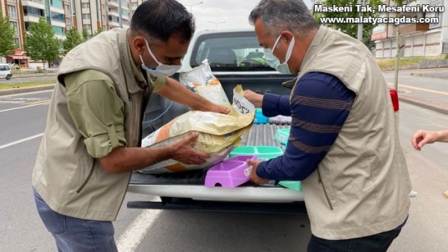 Diyarbakır'da tam kapanma döneminde sokak hayvanları unutulmadı