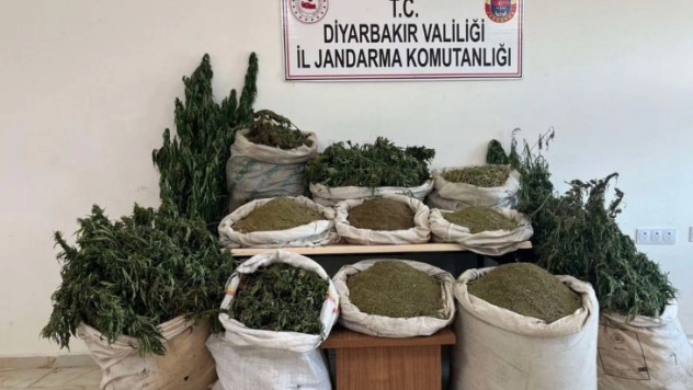 Diyarbakır'da terörün finans kaynağına darbe: 2 milyon 293 bin kök kenevir ele geçirildi