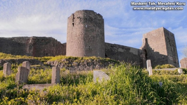 Diyarbakır'ın fethi, çeşitli etkinliklerle kutlanacak