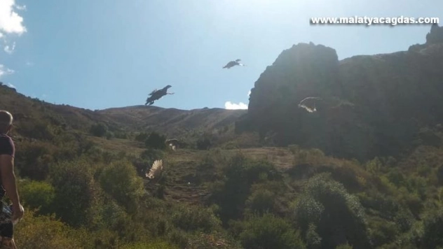 Kars'a 400 kınalı keklik gönderildi