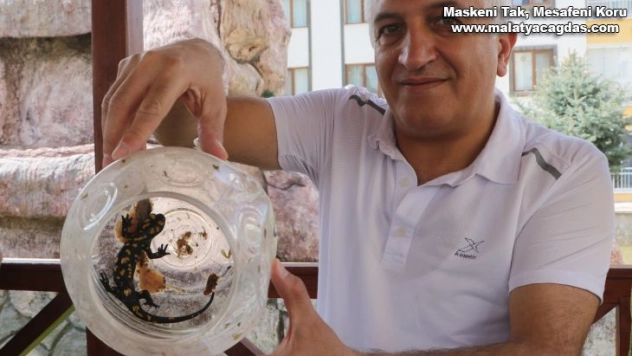 Doğada nadir görülüyordu