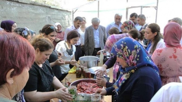 Doğanşehir'de kapya biber hasadı başladı