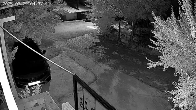 Doğanşehir'de Kurt Dehşeti: Köpek Yavrusunu Alıp Götürdü