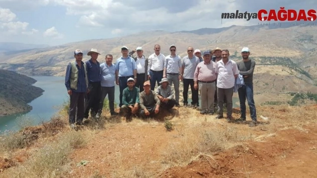 Doğanyol'da Antep Fıstığı üretilecek