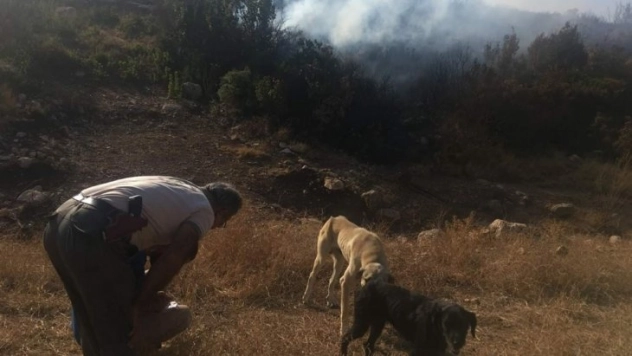 Doğayı ateşe veren göçmen sınır dışı edildi
