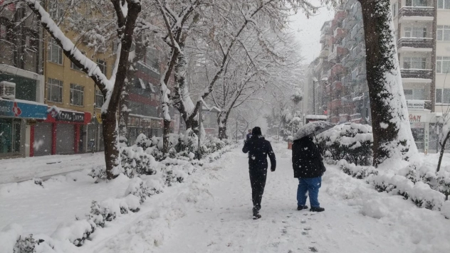 Doğu Anadolu'nun kuzeyinde kar yağışlarına dikkat