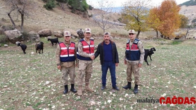 Dolandırıcılar yakalandı