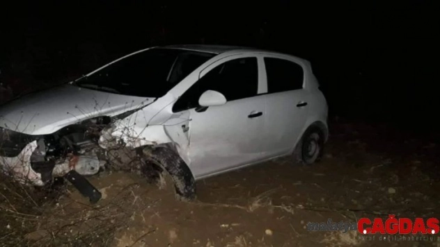 Domuz sürüsüne çarpan otomobilde 4 kişi yaralandı