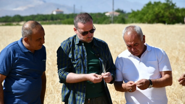Dondan Zarar Gören Çiftçi Destek Bekliyor