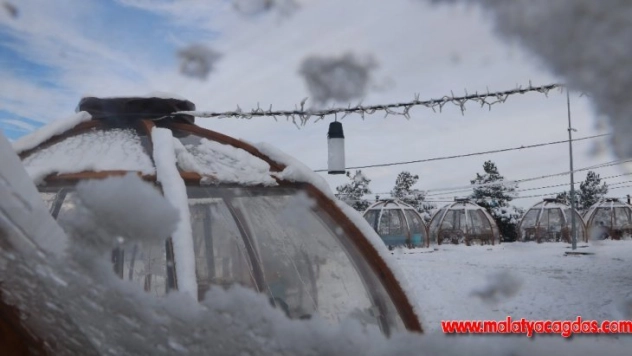 Dondurucu soğuğa karşı cam fanuslu çözüm