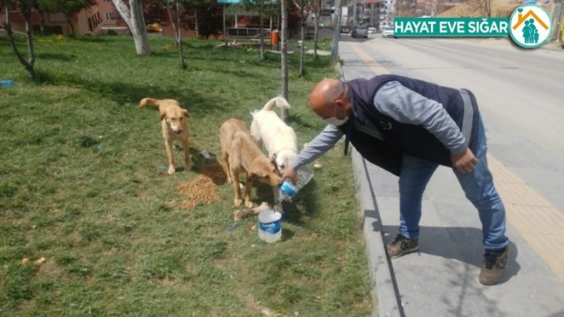 Dört günlük sokağa çıkma yasağında Mamak mesaisi