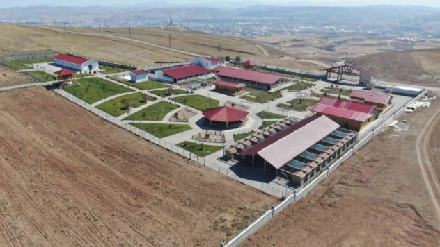 Dünyaca ünlü Kangallar bu tesiste korunuyor