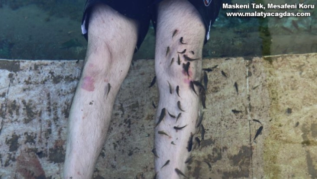 Dünyada benzerleri yok, doktor balıklar şifa saçıyor