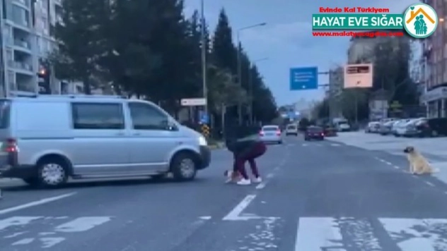 Duyarlı vatandaş anne köpeğin çaresizliğine dayanamadı