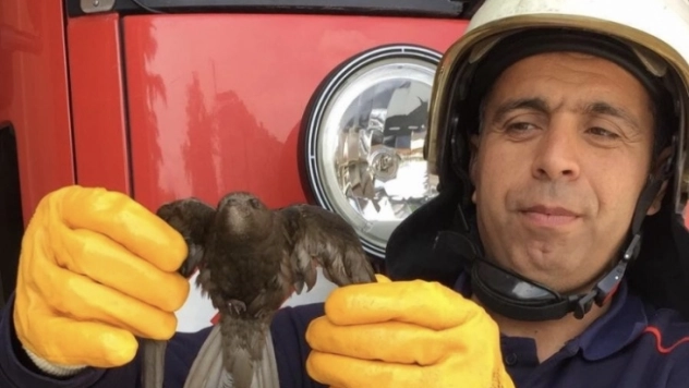 Ebabil Kuşun İmdadına İtfaiye Yetişti