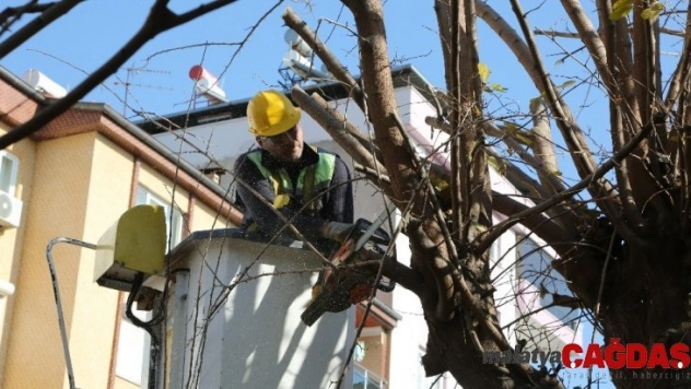 Efeler'de tehlikeye geçit yok