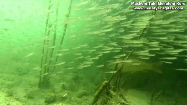 Efsanelere konu olan göl koruma altına alındı