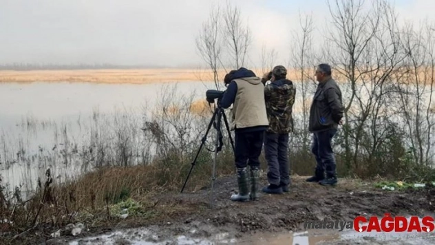 Efteni Gölünün misafirleri tespit ediliyor