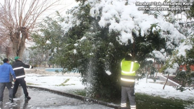 Ekipler ağaç dalları için seferber oldu