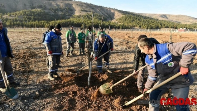 Ekoköy'de fidanlar toprakla buluştu