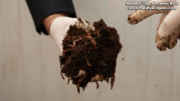 Ekonomiye katkı çevreye fayda sağlıyor, 100 ton gübre üretiliyor