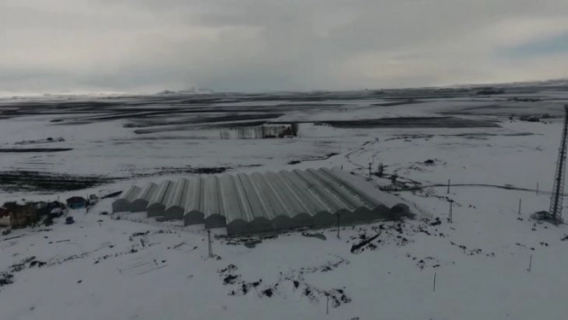 Eksi 30 derecede Hindistan cevizi kabuğunda 25 ton domates üretecekler