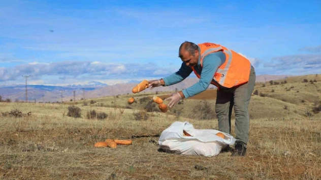 Elaızığ'da doğaya yem bırakıldı