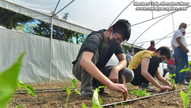 Elazığ'da 'Ağacımla büyüyorum, kendi seramda üretiyorum' projesi
