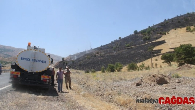 Elazığ'da  orman yangını