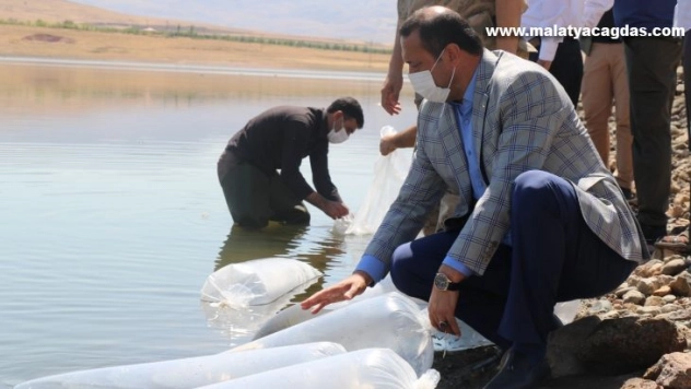 Elazığ'da 100 bin bin yavru sazan balığı gölete bırakıldı