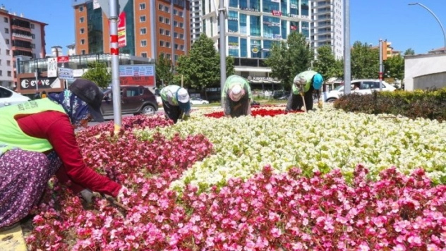 400 bin çiçek toprakla buluştu