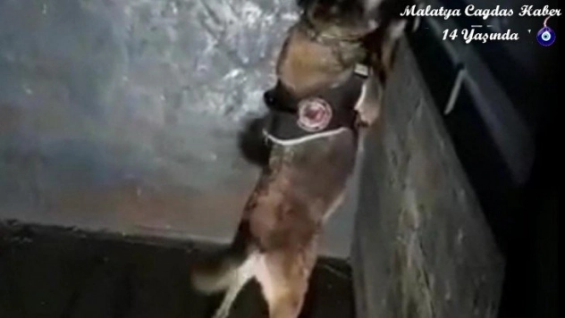 Elazığ'da 41 kilo 750 gram eroin ele geçirildi