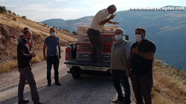 Elazığ'da 850 keklik doğaya salındı