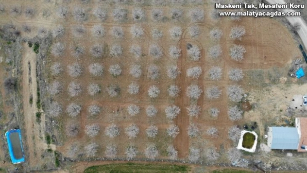 Elazığ'da ağaçlar beyaz gelinliğini giydi, muhteşem görüntü ortaya çıktı