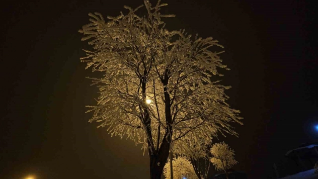 Elazığ'da ağaçlar kırağı tuttu