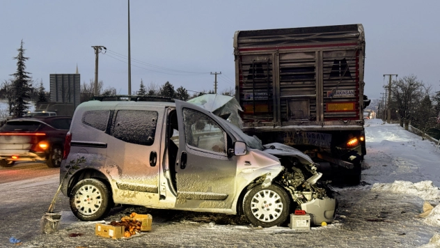 Elazığ'da feci kaza: Çift hayatını kaybetti