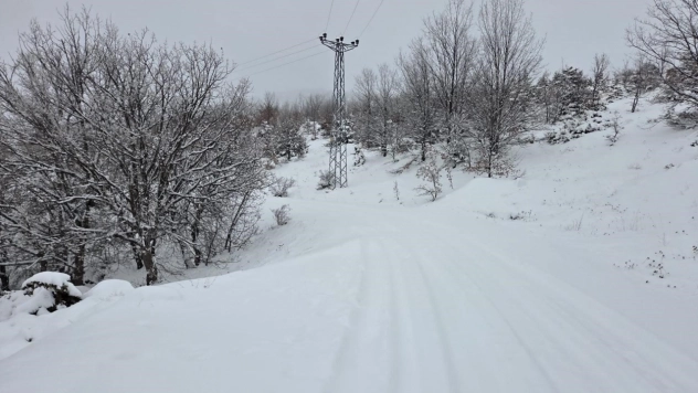 Elazığ'da kar başladı, 311  köy yolu ulaşıma kapandı