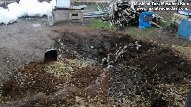 Elazığ'da kurt, 2 koyunu telef etti