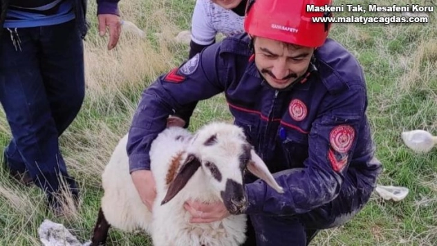 Elazığ'da kuyuya düşen kuzuyu itfaiye kurtardı