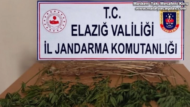 Elazığ'da uyuşturucuyla mücadele çalışması