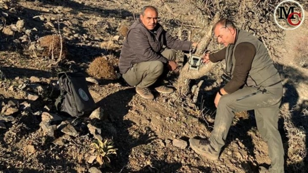 Elazığ'da yaban hayatı ve kaçak avcılar, fotokapanlarla tespit ediliyor
