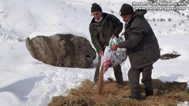 Yaban hayvanları için doğaya 1,5 ton yem bırakıldı