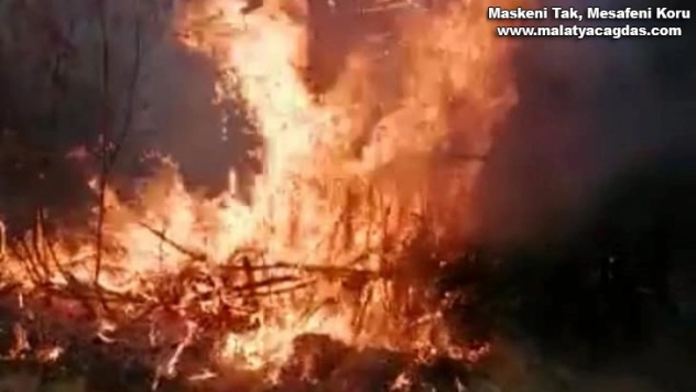 Elazığ'da yangın: 4 bahçe zarar gördü