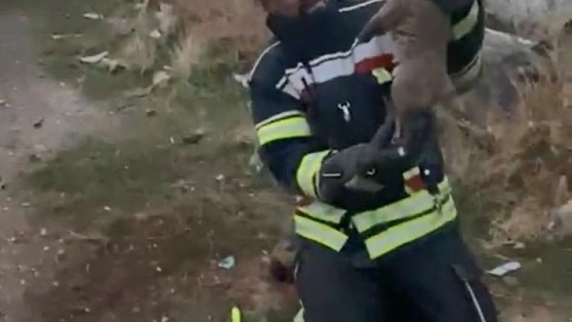 Elazığ'da yürek ısıtan kurtarma operasyonu