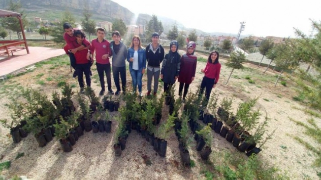 Darende'de lise öğrencileri fidan dikti