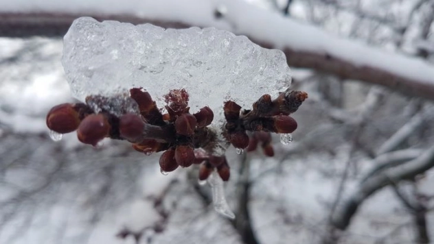 Meteorolojiden zirai don uyarısı